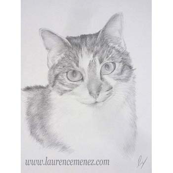 portrait au fusain sur commande
