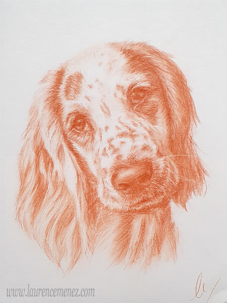 Retour aux portraits portrait à la sanguine sur commande