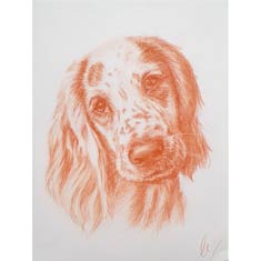 portrait à la sanguine sur commande