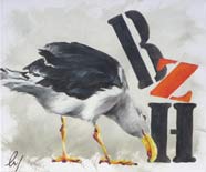 goéland