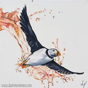 Macareux et éclaboussure d'eau, peinture à l'huile sur toile, Laurence Menez Artiste-peintre